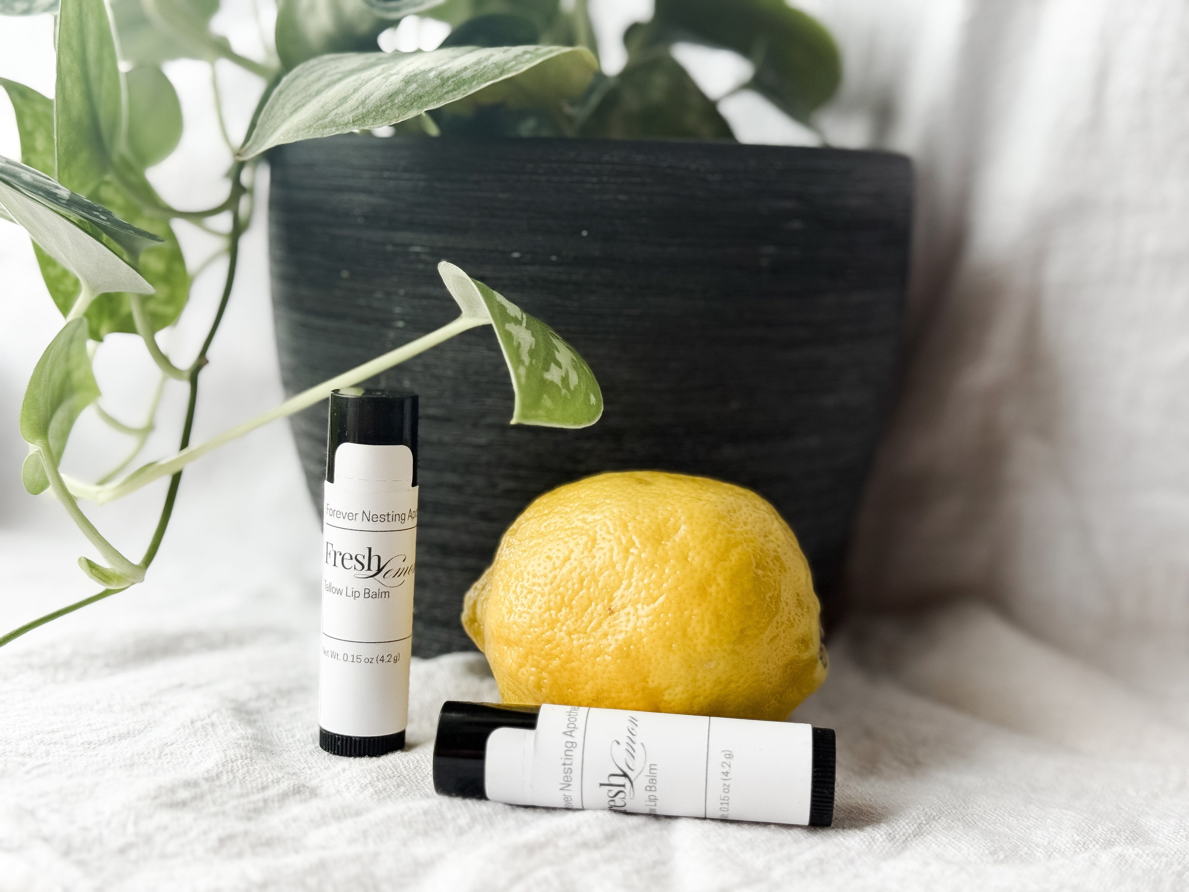 Tallow Lip Balm - Fresh Lemon